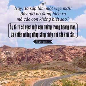 Meet your Posher, Hồng liên